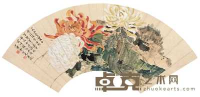 田世光 1956年作 菊石 扇面 18×63cm